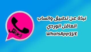 نبذة عن تطبيق واتساب العاقل الوردي WhatsApp3YE 2024